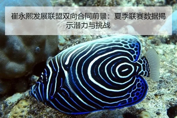 崔永熙发展联盟双向合同前景：夏季联赛数据揭示潜力与挑战