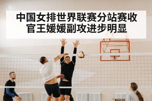 volleyball net block defense